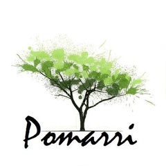 Pomarri Drug Rehab & Addiction Center logo